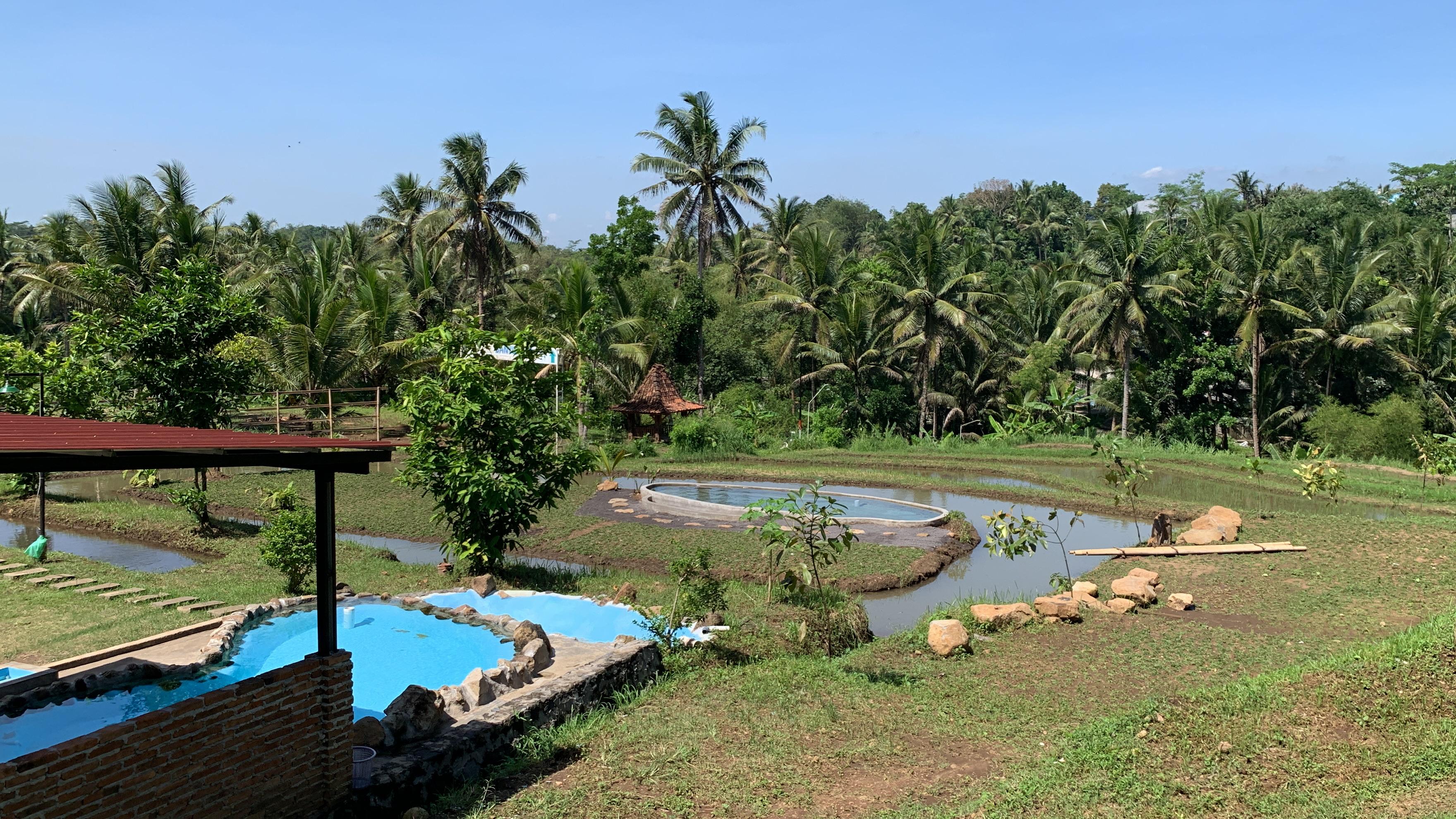 Warung Kungkum - Nikmati sensasi makan lesehan di atas aliran sungai jernih dengan menu masakan Jawa tradisional yang autentik